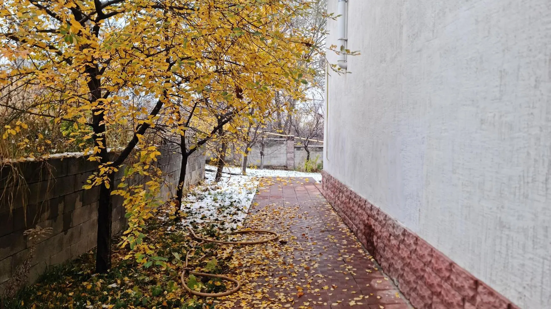 アルマトイ Adoni House Уютней Чем В Родном Домеヴィラ